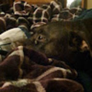 Meet your Posher, Makayla